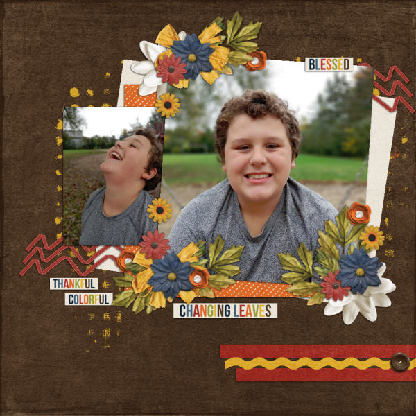 Changing Leaves