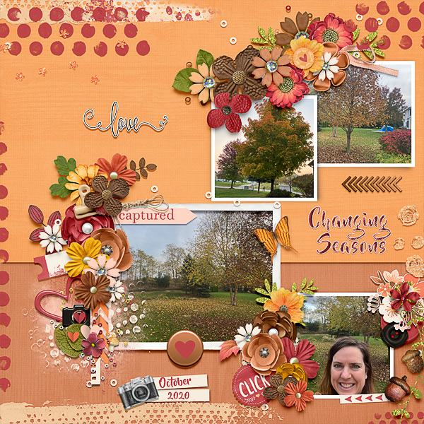 Changing Seasons