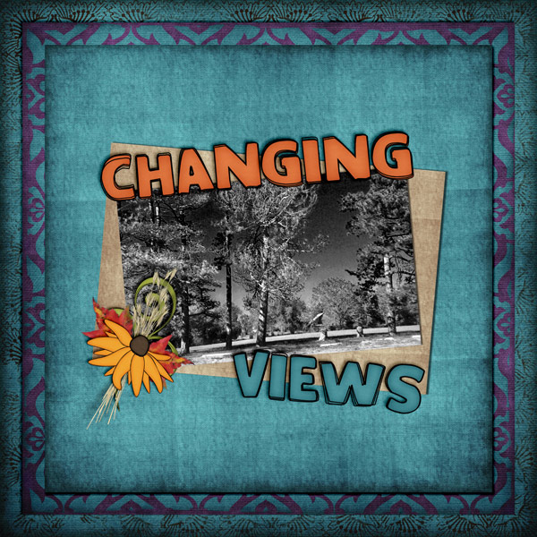 Changing Views