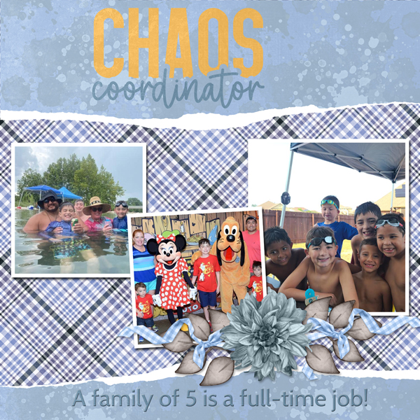 CHAOS coordinator
