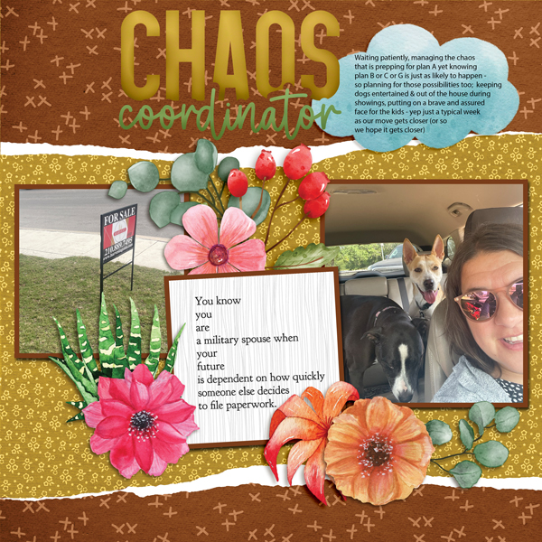 Chaos Coordinator