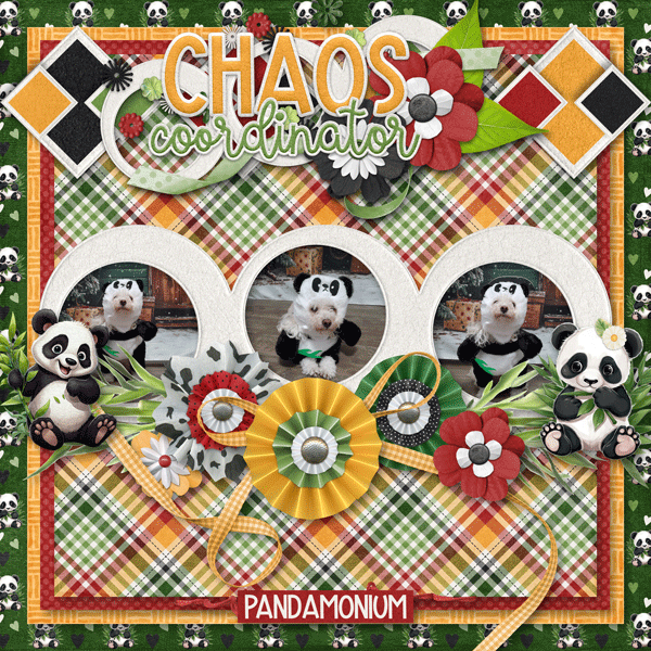 Chaos Coordinator