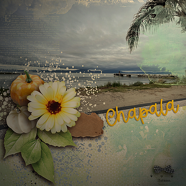 .chapala sep22.