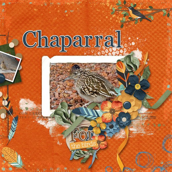 Chaparral