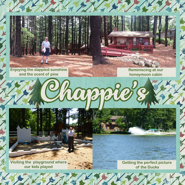 Chappies 2015