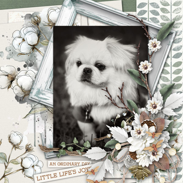 charley