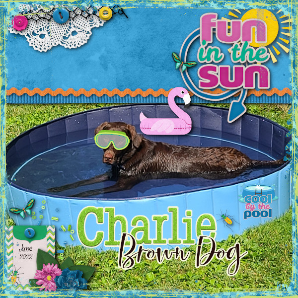 Charlie Brown Dog Keeping Cool