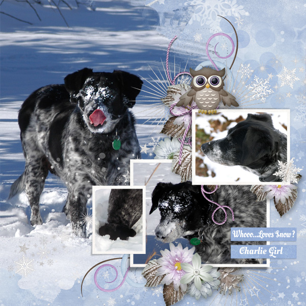 Charlie-JSD_Sync_MaskTemps_C
