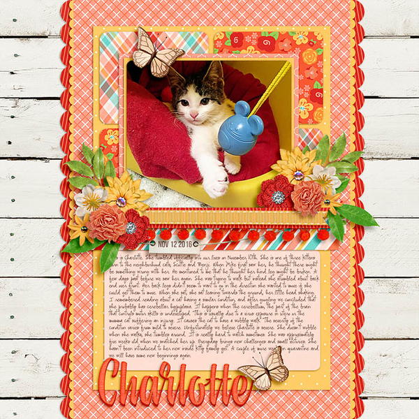 Charlotte