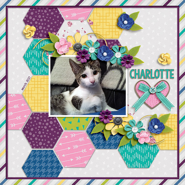 charlotte