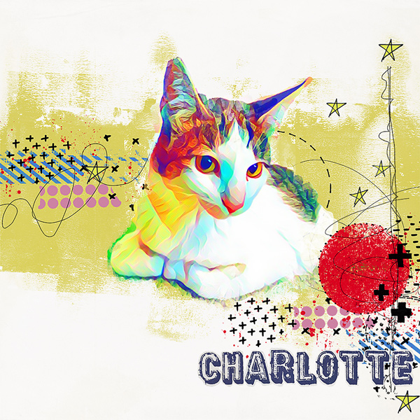 charlotte