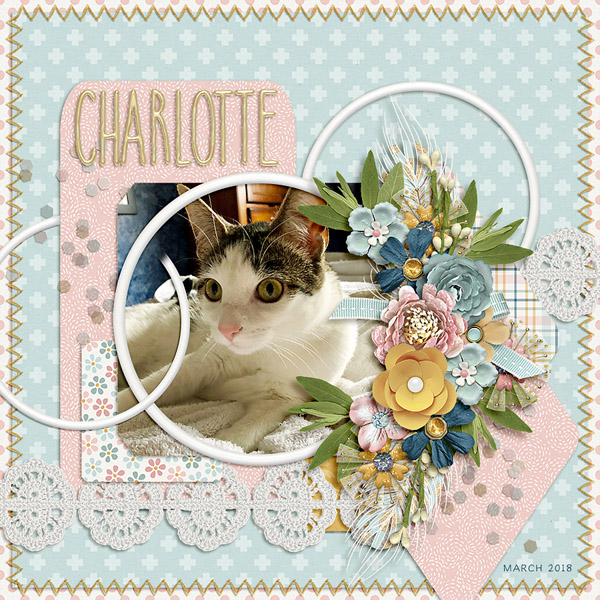 charlotte