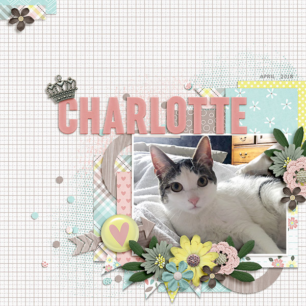 charlotte
