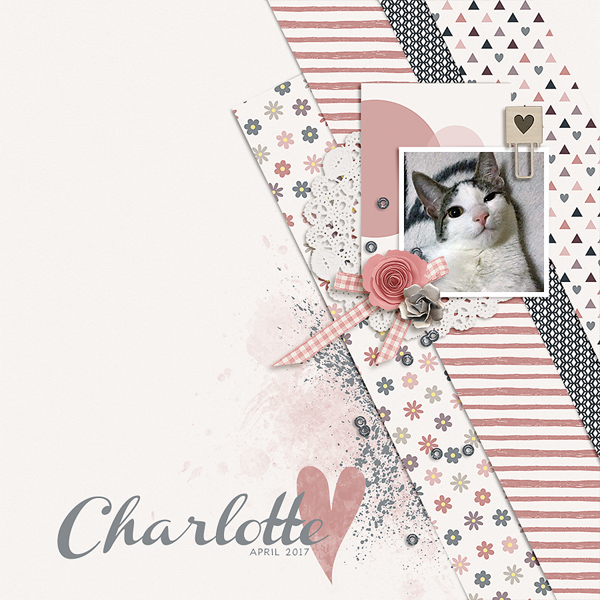 Charlottte