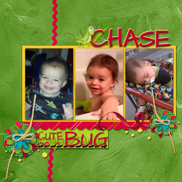 Chase - cute as a bug