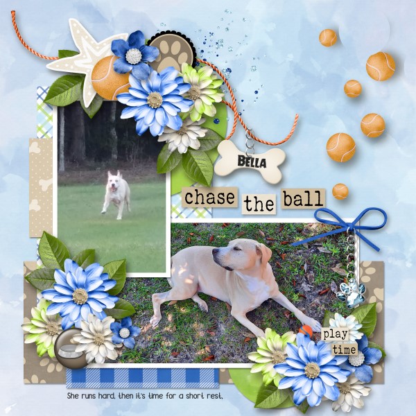 Chase The Ball