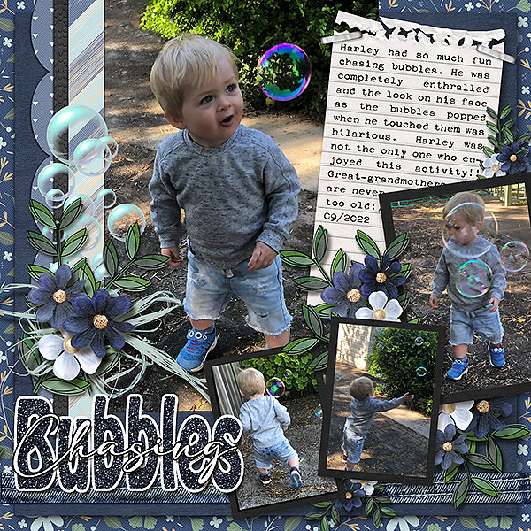 Chasing Bubbles