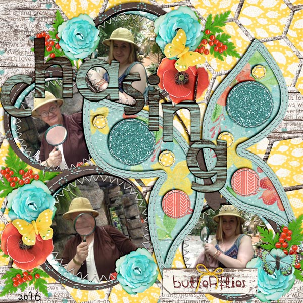 chasing butteflies