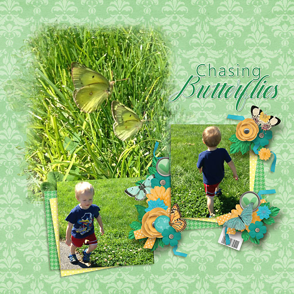 Chasing-Butterflies-copy
