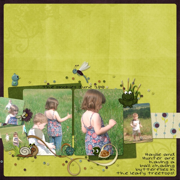 Chasing ButterFlies
