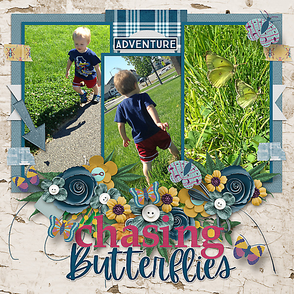Chasing-Butterflies1