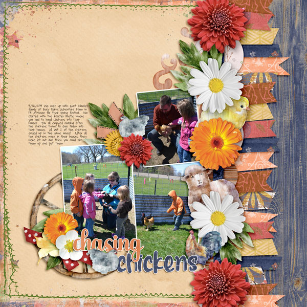 Chasing Chickens