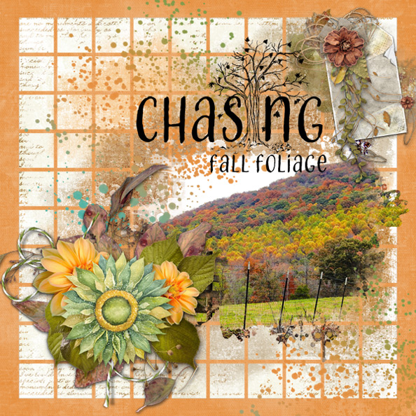 Chasing Fall