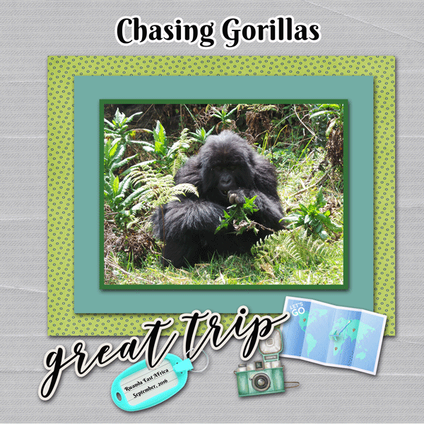 Chasing Gorillas