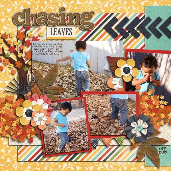 Chasing Leaves