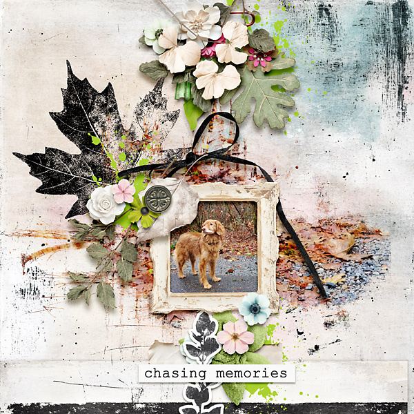 Chasing Memories