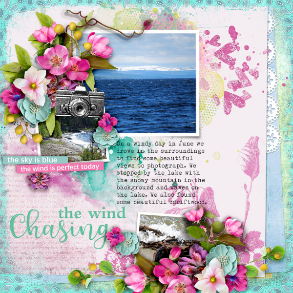 Chasing-the-wind
