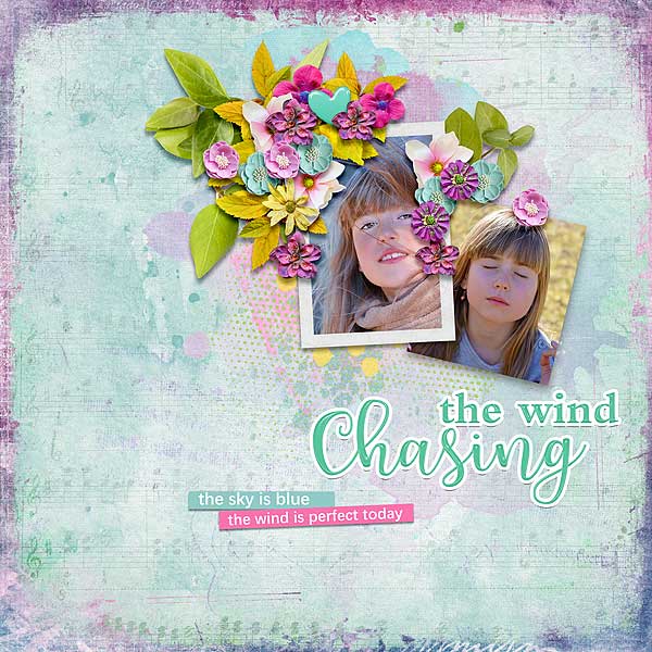 Chasing The Wind