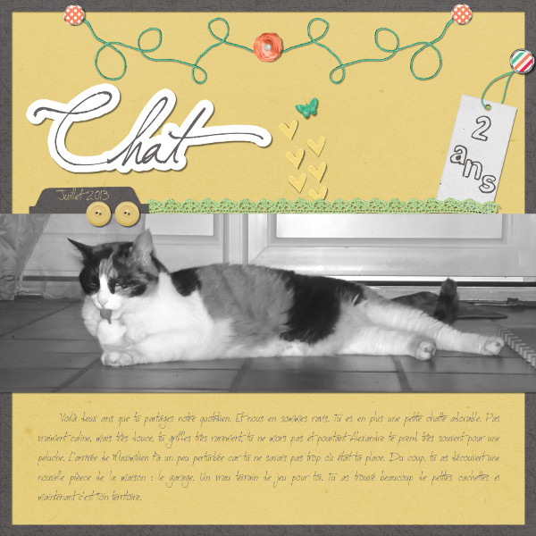 Chat, 2 ans