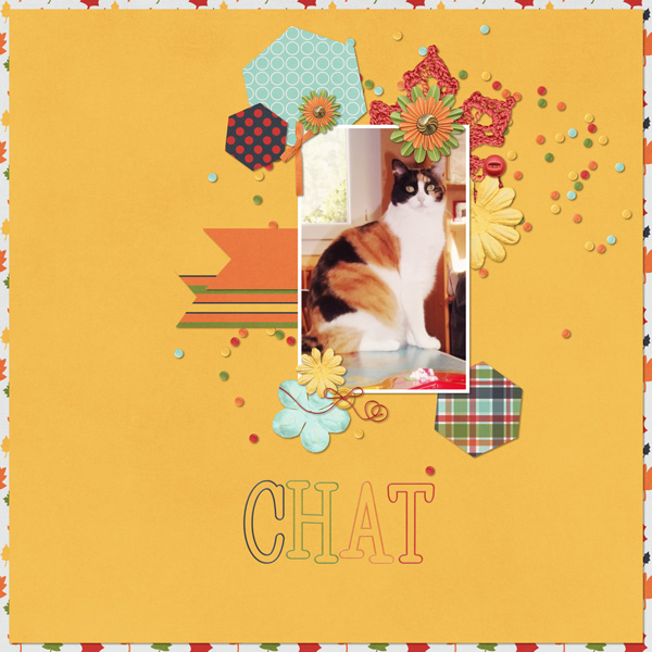 Chat