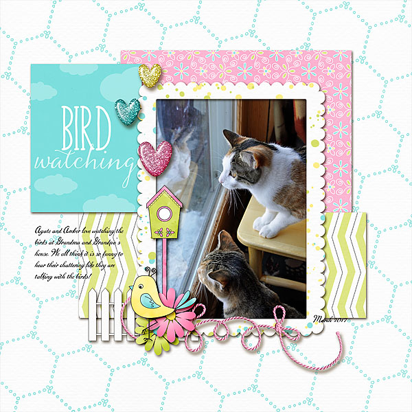 Chattering With the Birds
