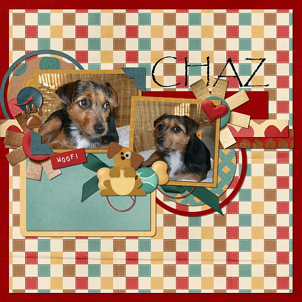 Chaz