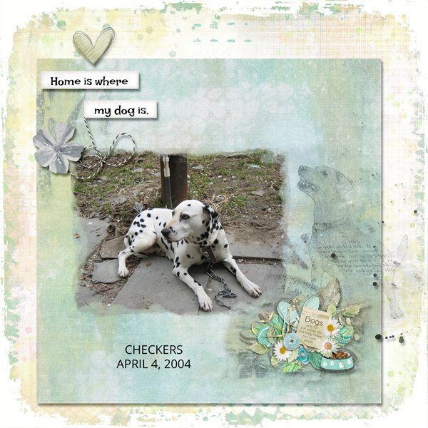 CHECKERS -UIA -AUG 23