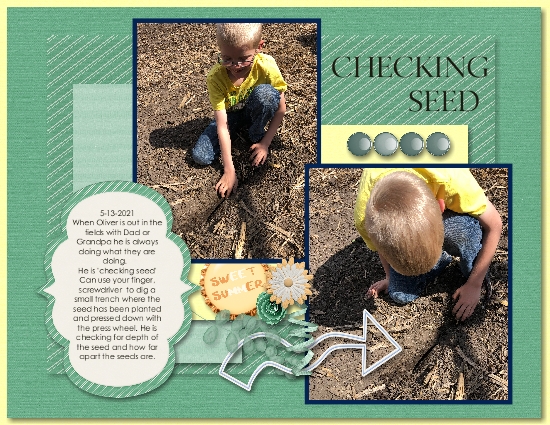 Checking Seed