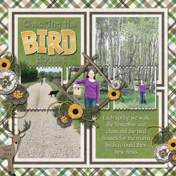 Checking the Birdhouses