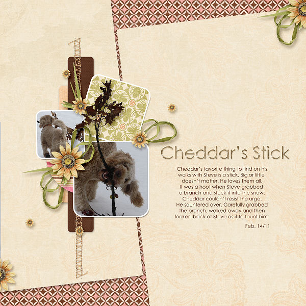 Cheddar's Stick-600