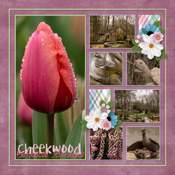 Cheekwood in Bloom 1