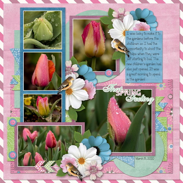 Cheekwood in Bloom 2