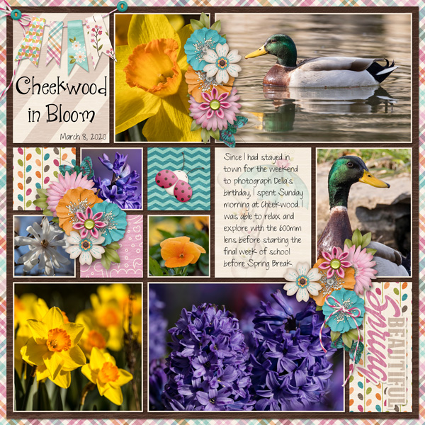 Cheekwood in Bloom