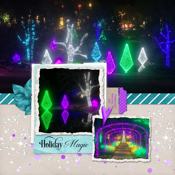 Cheekwood Lights