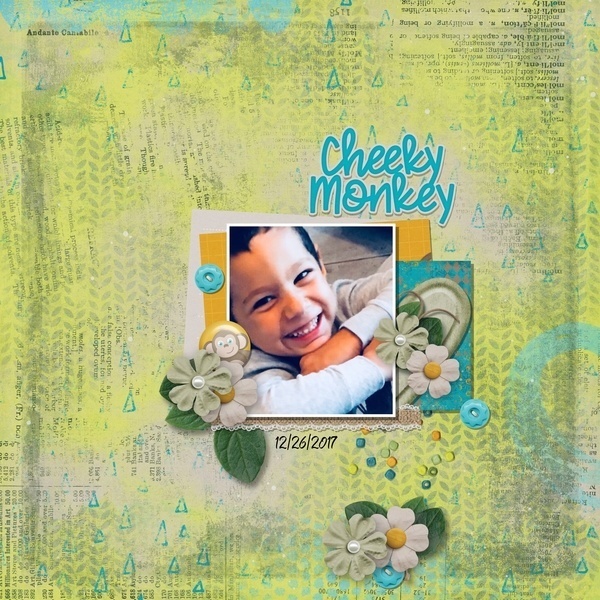 Cheeky Monkey