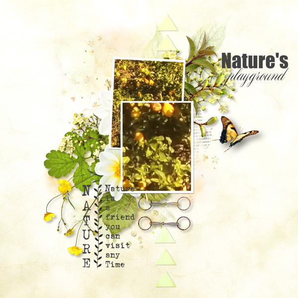 Cheerful Nature