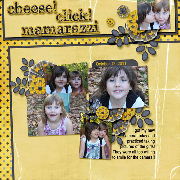 Cheese! Click!