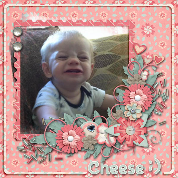 Cheese