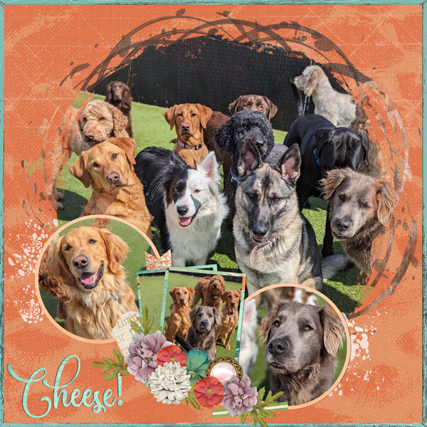 Cheese!