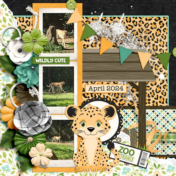 Cheetah Adventure